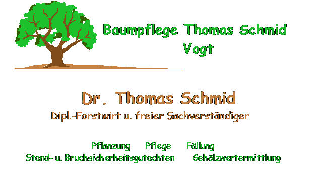Logo von Baumpflege Thomas Schmid