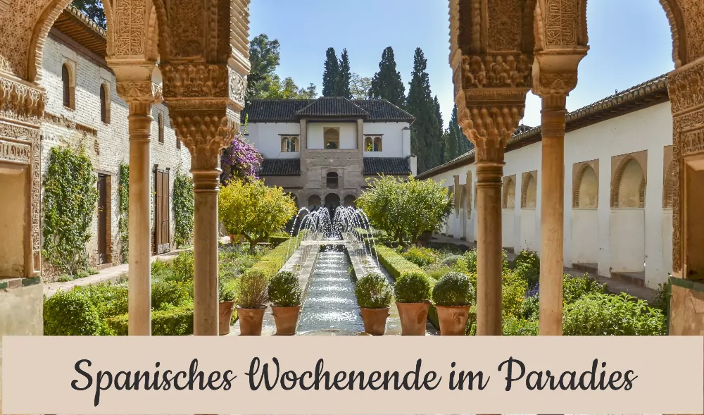 Bild zu Cena hispánica